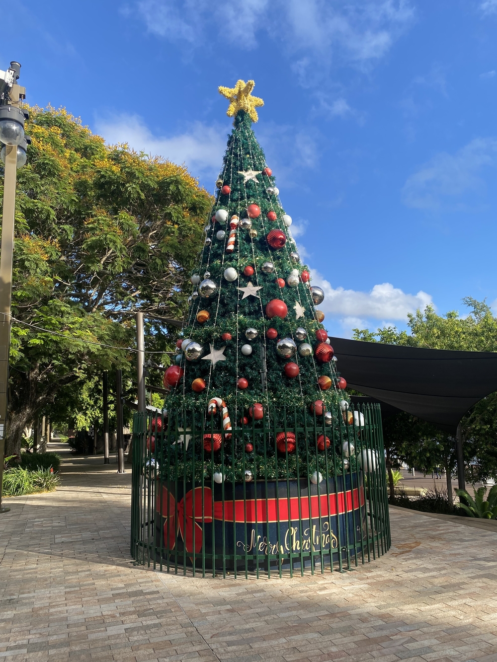 The Best Christmas Activities Rockhampton has to offer feature image